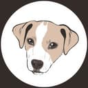 Dragon Veterinary Inc.